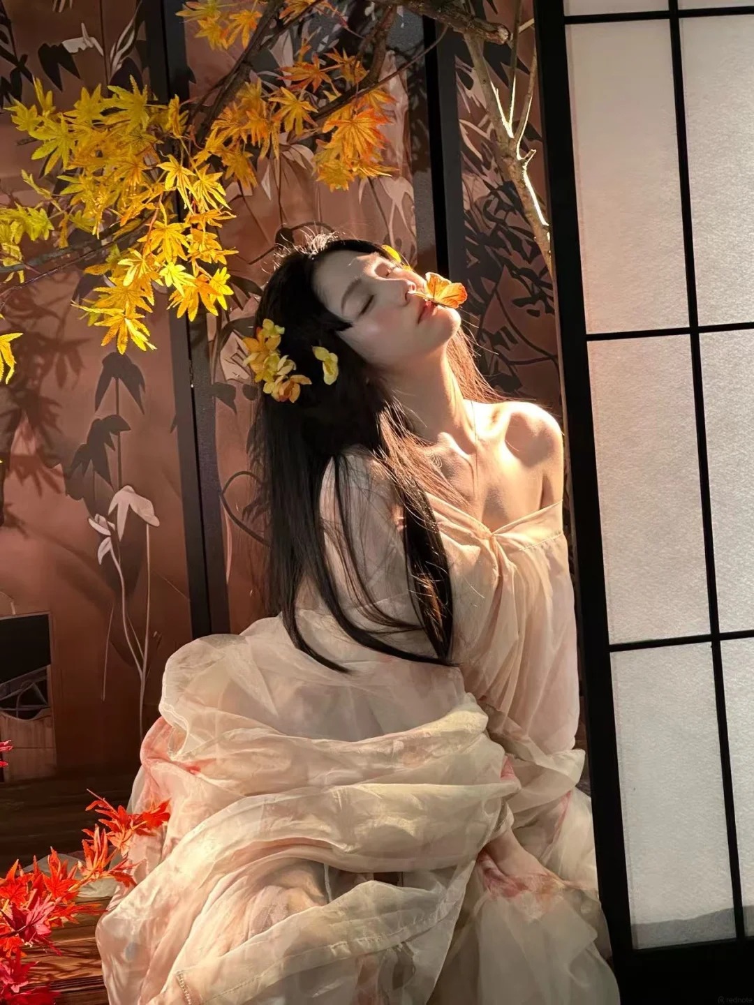 Hồng Nhan 2